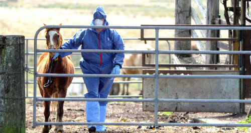 Biosecurity has said its quarantine procedures protect man and animal. Biosecurity has said its quarantine procedures protect man and animal.